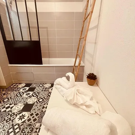 2 Cosy Proche Aeroport Et Meett Au Pied Du Tram Blagnac