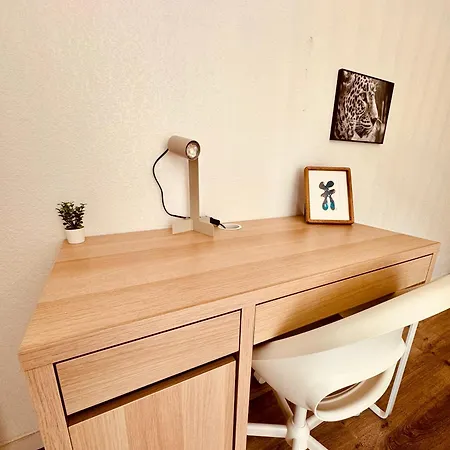 2 Cosy Proche Aeroport Et Meett Au Pied Du Tram Blagnac