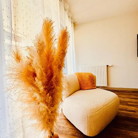 2 Cosy Proche Aeroport Et Meett Au Pied Du Tram Apartment