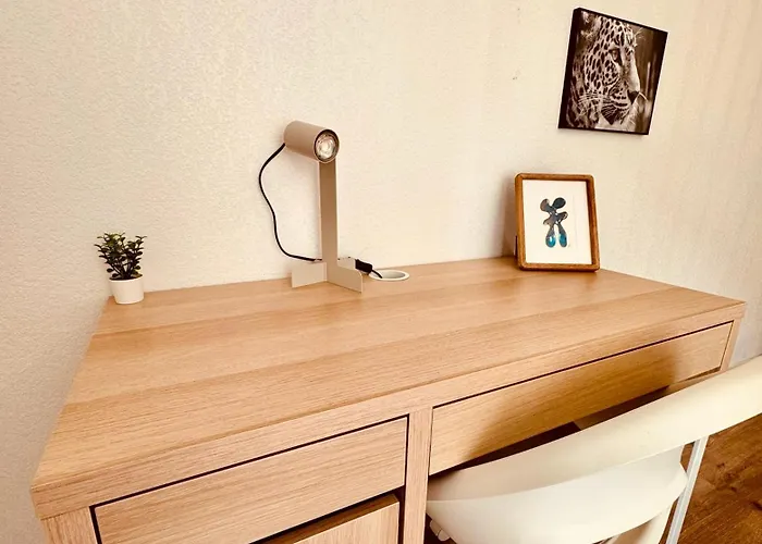 2 Cosy Proche Aeroport Et Meett Au Pied Du Tram Blagnac