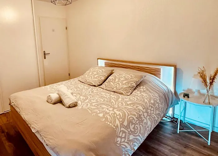 2 Cosy Proche Aeroport Et Meett Au Pied Du Tram Apartment *