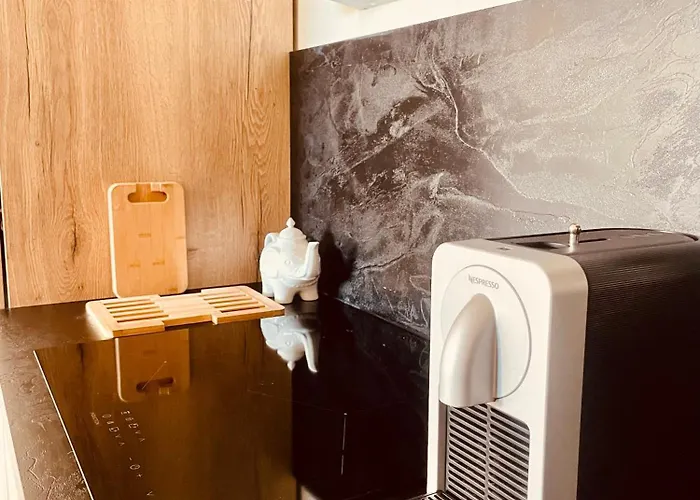 2 Cosy Proche Aeroport Et Meett Au Pied Du Tram