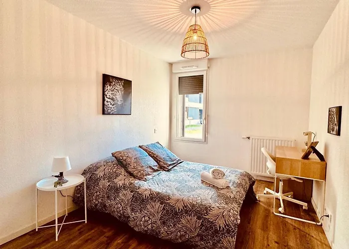 2 Cosy Proche Aeroport Et Meett Au Pied Du Tram Blagnac