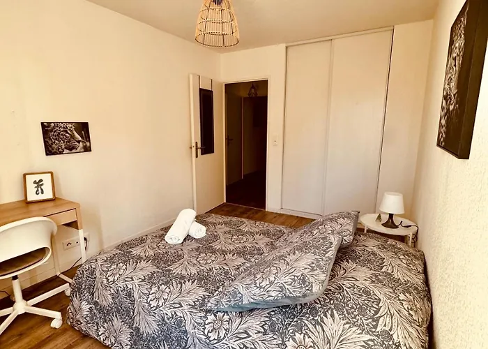 2 Cosy Proche Aeroport Et Meett Au Pied Du Tram Apartment Blagnac