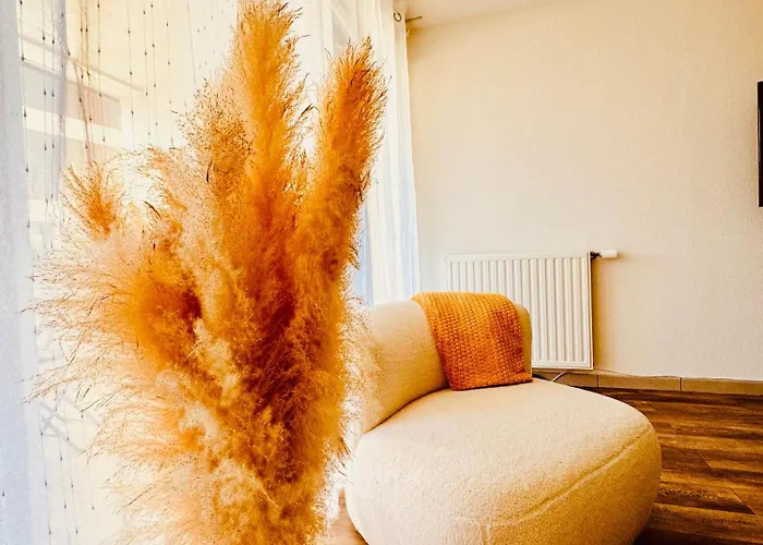 2 Cosy Proche Aeroport Et Meett Au Pied Du Tram Apartment