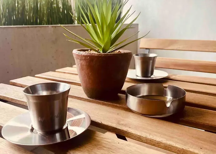 2 Cosy Proche Aeroport Et Meett Au Pied Du Tram