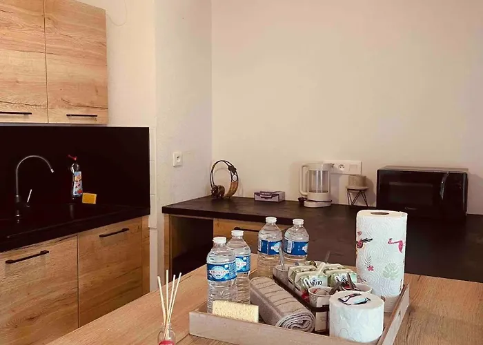 2 Cosy Proche Aeroport Et Meett Au Pied Du Tram *