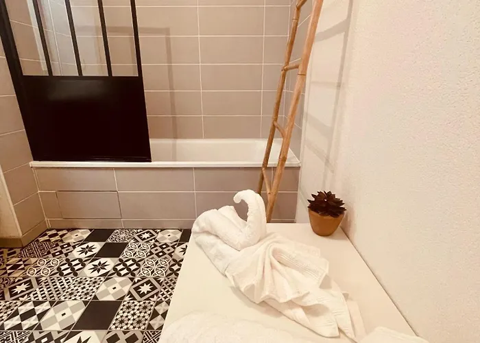 2 Cosy Proche Aeroport Et Meett Au Pied Du Tram Blagnac