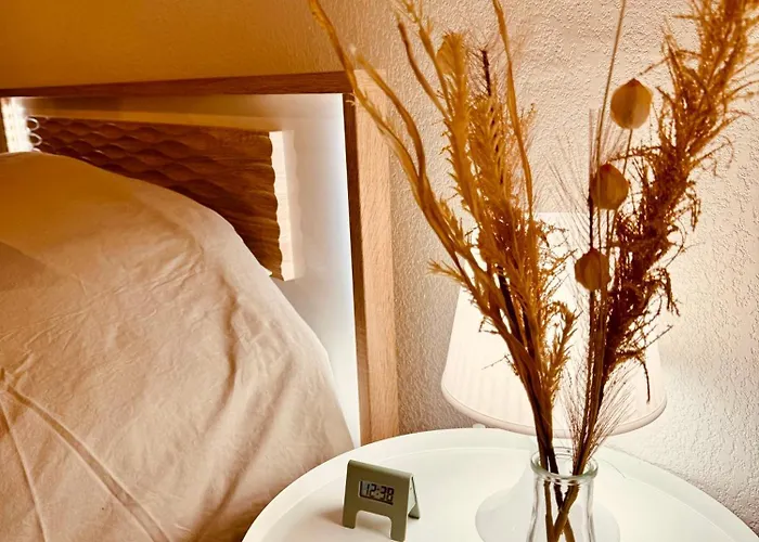 2 Cosy Proche Aeroport Et Meett Au Pied Du Tram * Blagnac