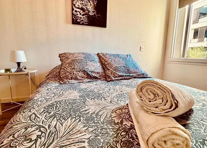 Apartment 2 Cosy Proche Aeroport Et Meett Au Pied Du Tram Blagnac